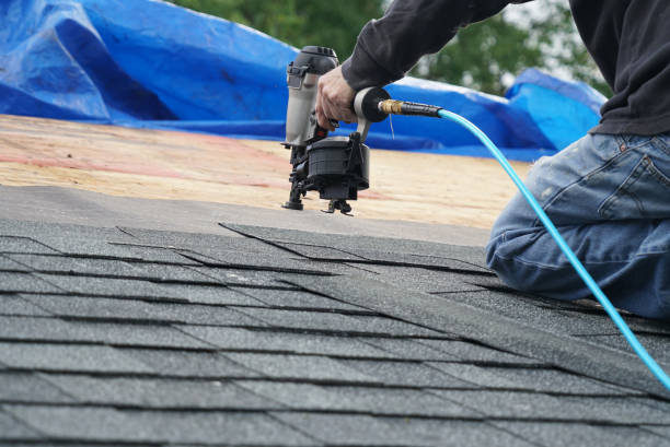 Roof Installation Near Me in Thomasville, AL